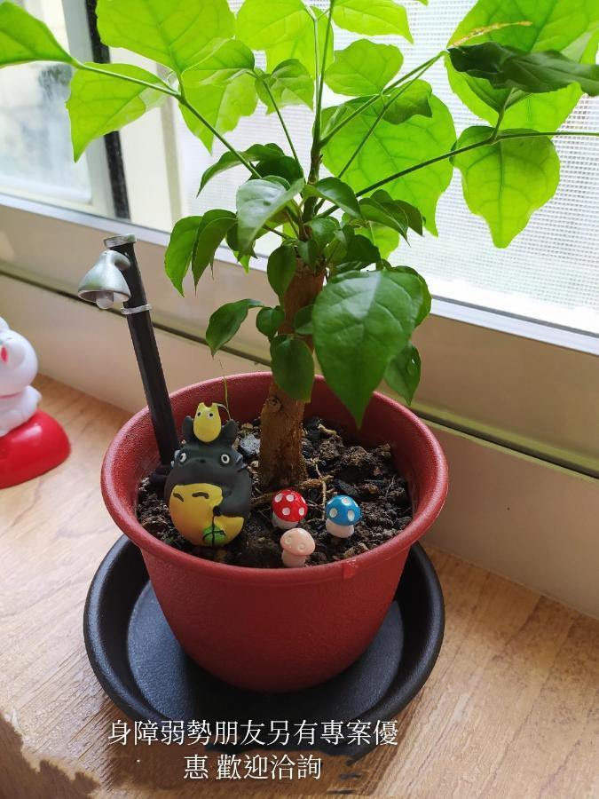 Non-Profit Bee Home Кийлунг Екстериор снимка
